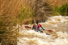 BVPHOTO-Fish-2020-124-of-756
