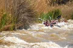 BVPHOTO-Fish-2020-128-of-756