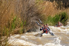 BVPHOTO-Fish-2020-129-of-756