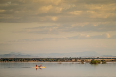BVPHOTO-Fish-2020-13-of-756