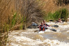BVPHOTO-Fish-2020-130-of-756