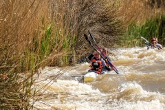 BVPHOTO-Fish-2020-131-of-756