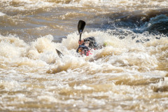 BVPHOTO-Fish-2020-151-of-756