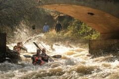 BVPHOTO-Fish-2020-17-of-756