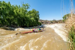 BVPHOTO-Fish-2020-210-of-756