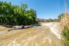 BVPHOTO-Fish-2020-211-of-756