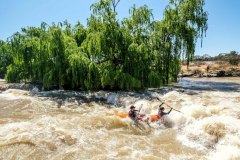 BVPHOTO-Fish-2020-218-of-756