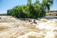 BVPHOTO-Fish-2020-219-of-756
