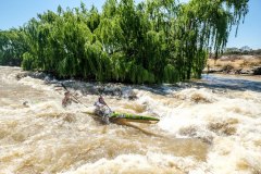 BVPHOTO-Fish-2020-220-of-756