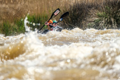 BVPHOTO-Fish-2020-225-of-756