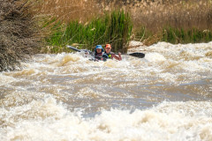 BVPHOTO-Fish-2020-250-of-756
