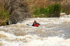 BVPHOTO-Fish-2020-267-of-756