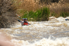 BVPHOTO-Fish-2020-268-of-756