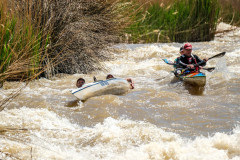 BVPHOTO-Fish-2020-269-of-756