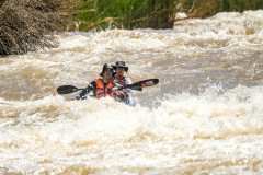BVPHOTO-Fish-2020-294-of-756