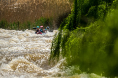 BVPHOTO-Fish-2020-309-of-756