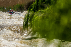 BVPHOTO-Fish-2020-310-of-756