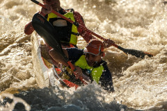 BVPHOTO-Fish-2020-63-of-756