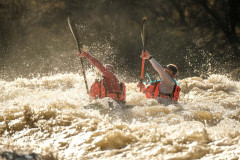 BVPHOTO-Fish-2020-68-of-756