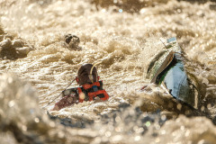 BVPHOTO-Fish-2020-70-of-756