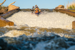 BVPHOTO-Fish-2020-377-of-756