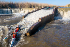 BVPHOTO-Fish-2020-438-of-756