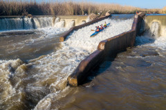 BVPHOTO-Fish-2020-440-of-756