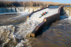 BVPHOTO-Fish-2020-441-of-756