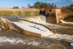 BVPHOTO-Fish-2020-443-of-756