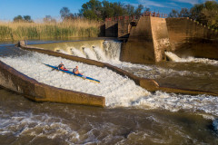 BVPHOTO-Fish-2020-444-of-756