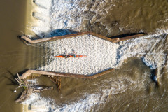 BVPHOTO-Fish-2020-447-of-756