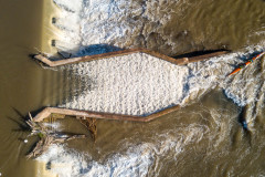 BVPHOTO-Fish-2020-448-of-756