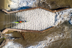 BVPHOTO-Fish-2020-450-of-756