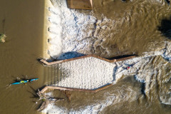 BVPHOTO-Fish-2020-459-of-756