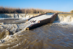BVPHOTO-Fish-2020-468-of-756