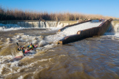 BVPHOTO-Fish-2020-469-of-756
