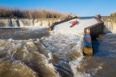 BVPHOTO-Fish-2020-476-of-756