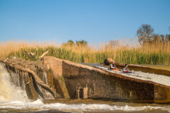 BVPHOTO-Fish-2020-561-of-756
