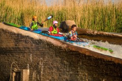 BVPHOTO-Fish-2020-566-of-756