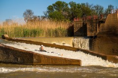 BVPHOTO-Fish-2020-571-of-756