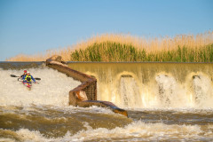 BVPHOTO-Fish-2020-612-of-756
