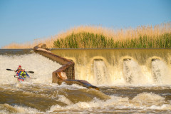 BVPHOTO-Fish-2020-613-of-756