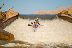 BVPHOTO-Fish-2020-616-of-756