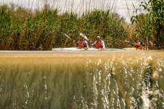 BVPHOTO-Fish-2020-694-of-756