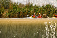 BVPHOTO-Fish-2020-695-of-756