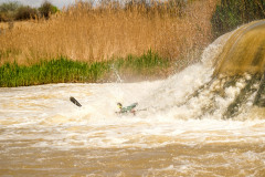BVPHOTO-Fish-2020-705-of-756