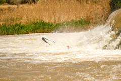BVPHOTO-Fish-2020-707-of-756