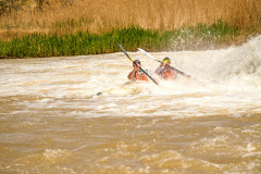 BVPHOTO-Fish-2020-708-of-756