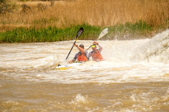 BVPHOTO-Fish-2020-710-of-756