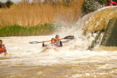 BVPHOTO-Fish-2020-717-of-756